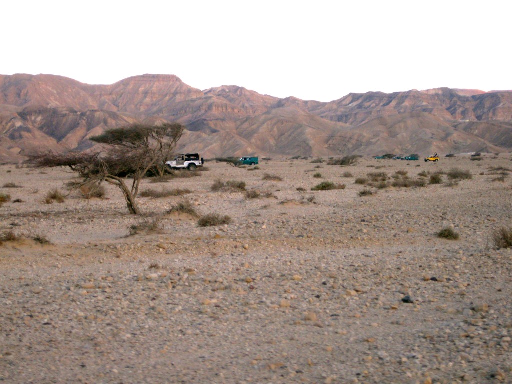 LIGHTTRUCKS4 copy Trucks/SUVs moving across desert with hills in background