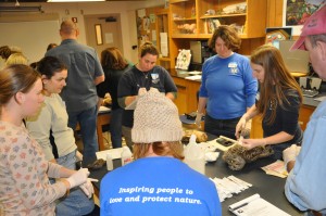 Students at the injections station during the basic wildlife rehabilitation course lab.