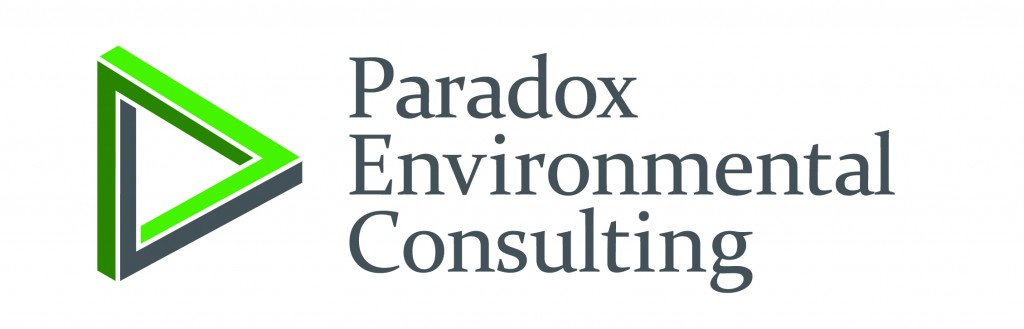 ParadoxLogoOptions