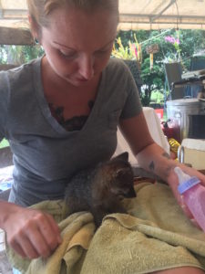 Amanda with a bottle in her hand and towel on her lap. A young canid is sitting on towel.