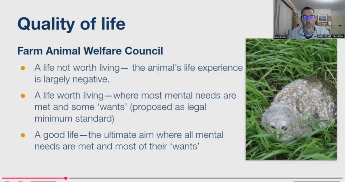 Assessing Wildlife Rehabilitation Patient Welfare