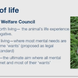 Screenshot 2026-05-21 093629 Assessing Wildlife Rehabilitation Patient Welfare
