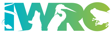 International Wildlife Rehabilitation Council
