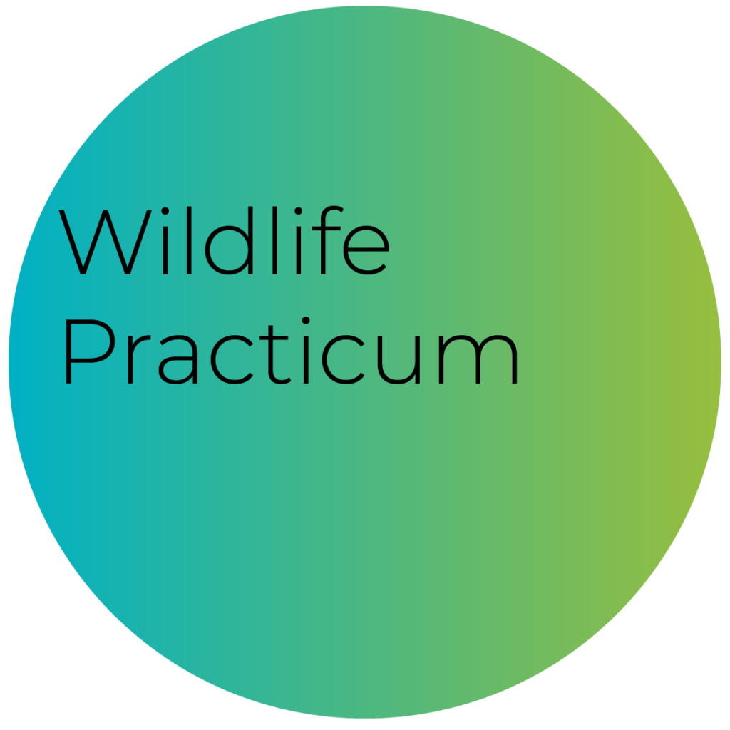 practicum-registration-international-wildlife-rehabilitation-council