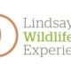 Lindsay WIldlife - Wildlife Hospital Coordinator