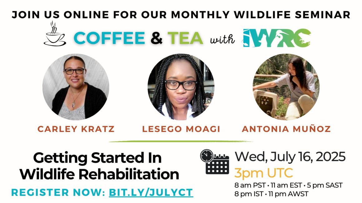 Getting Started in Wildlife Rehabilitation Panel