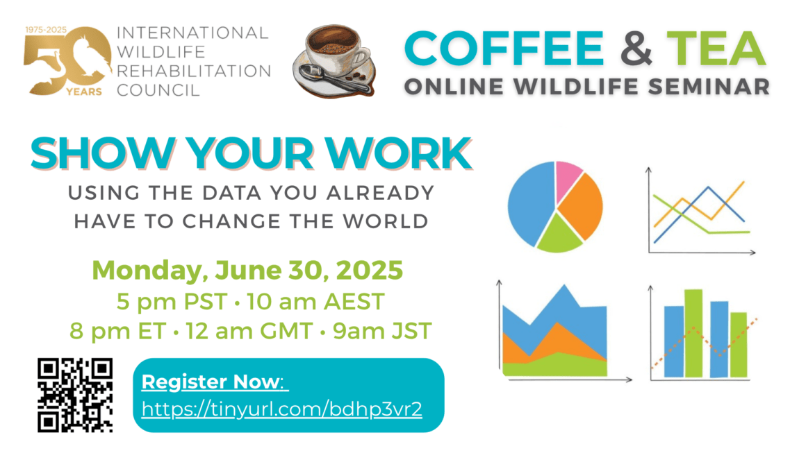 Show Your Work! June 2025