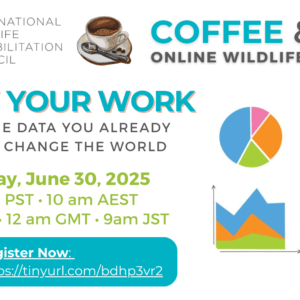 Show Your Work! June 2025