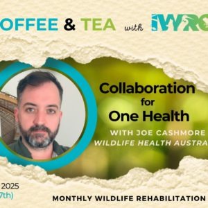 Collaboration for One Health with Joe Cashmore