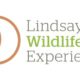 Wildlife Hospital Coordinator