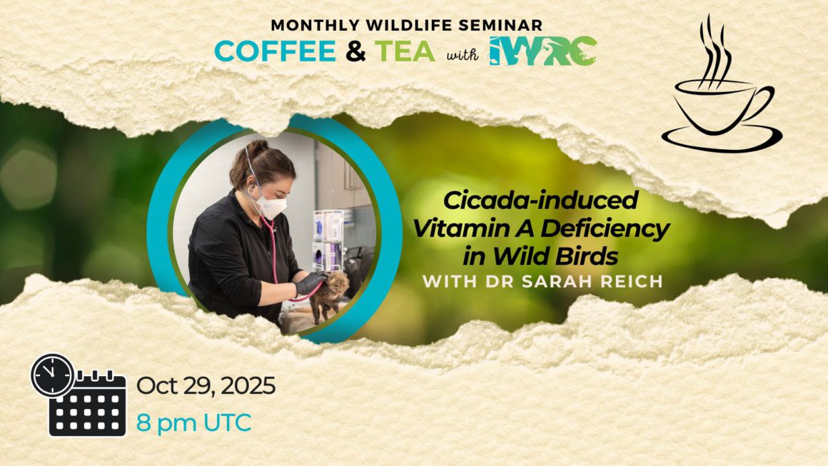 Cicada-induced  Vitamin A Deficiency in Wild Birds