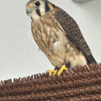 Thumbnail for the listing's main image