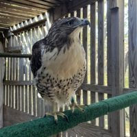 Thumbnail for the listing's main image