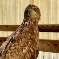 Thumbnail for the listing's main image