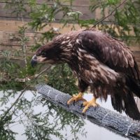 Thumbnail for the listing's main image