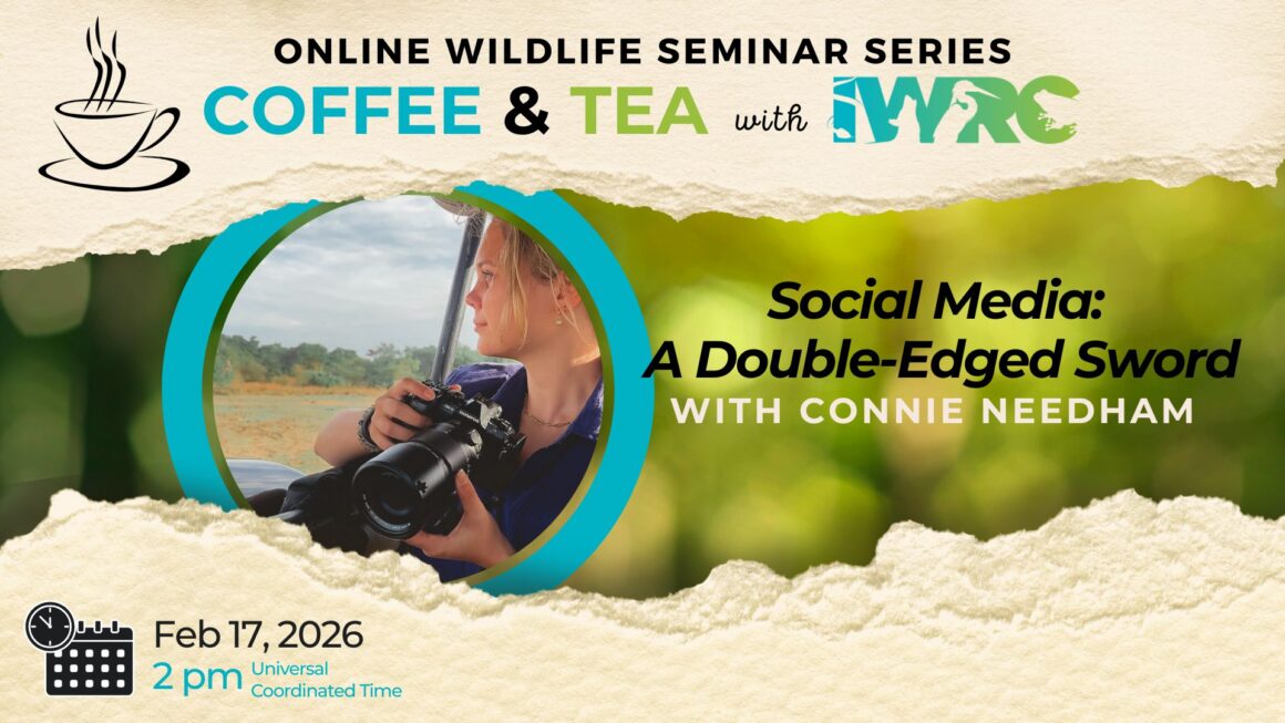 Social Media: A Double-Edged Sword