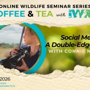 Feb2026SocialMedia Social Media: A Double-Edged Sword