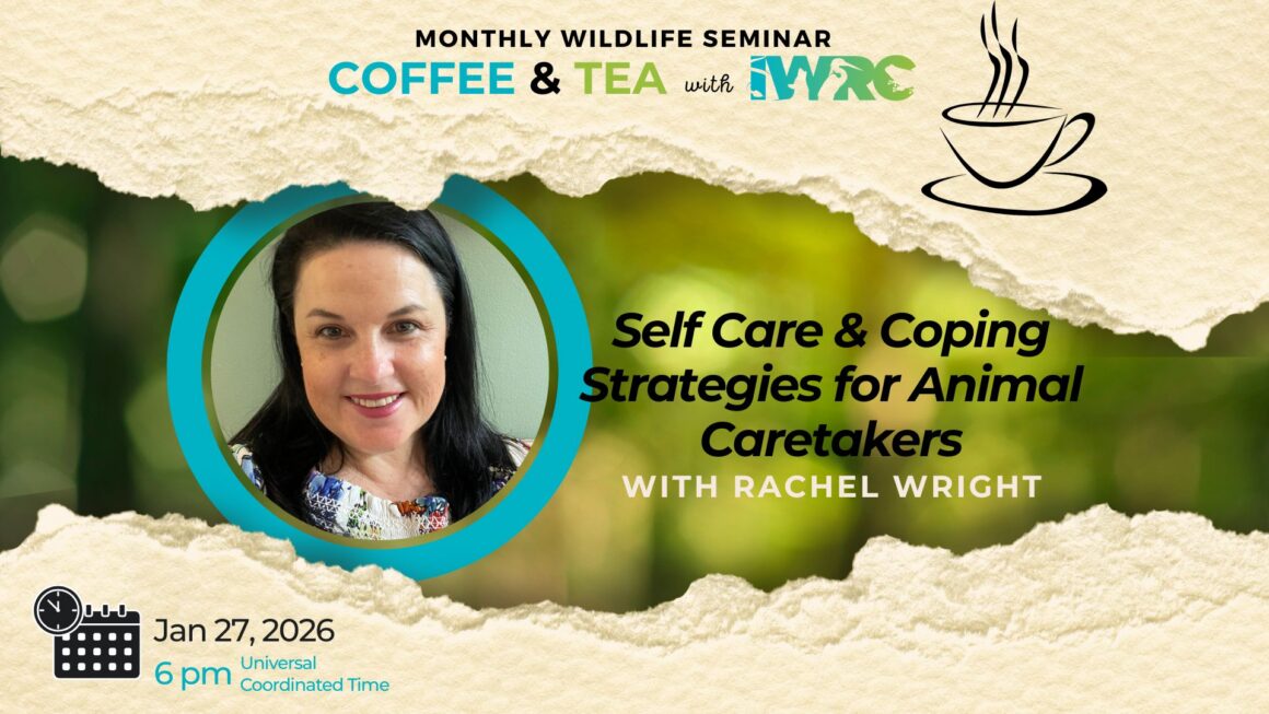 Self Care & Coping Strategies for Animal Caretakers