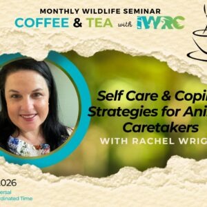 July2025GettingStarted Self Care & Coping Strategies for Animal Caretakers