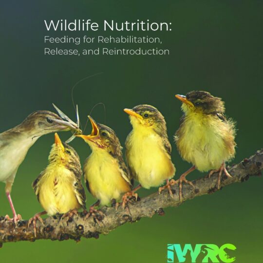wildlife rehabilitation feeding guide cover