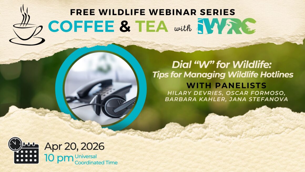Dial W for Wildlife: Tips for Managing Wildlife Hotlines