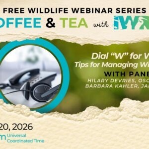 Dial W for Wildlife: Tips for Managing Wildlife Hotlines