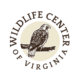 Communications Coordinator