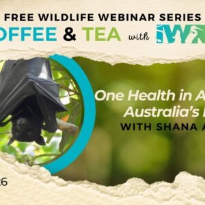 One Health in Action for Australia’s Bats