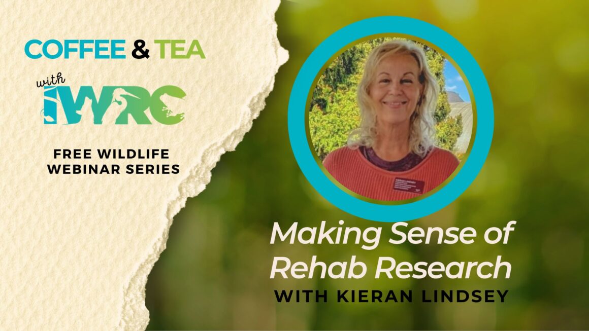 Making Sense of Wildlife Rehab Research Title Slide, with a circular portrait of the speaker