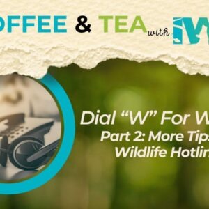 DialWForWildlife2 Dial “W” for Wildlife Part 2: More Tips for Wildlife Hotlines
